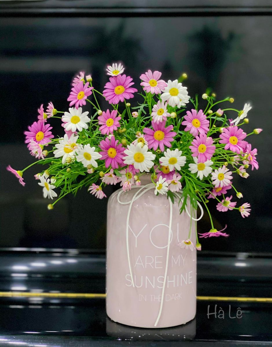 Tử vi ngày 17/4/2022 của 12 cung hoàng đạo